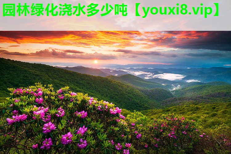 园林绿化浇水多少吨