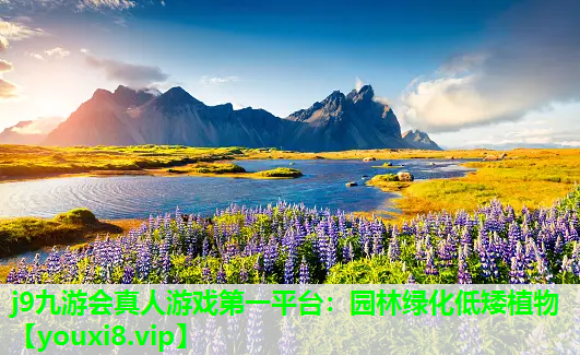 j9九游会真人游戏第一平台：园林绿化低矮植物