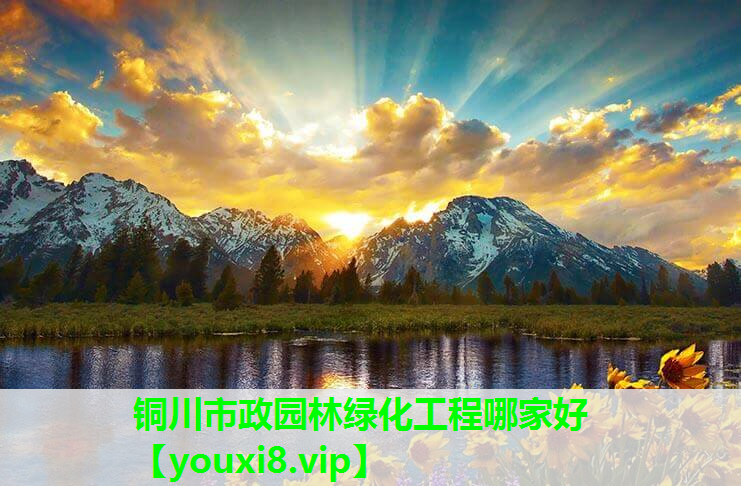 铜川市政园林绿化工程哪家好