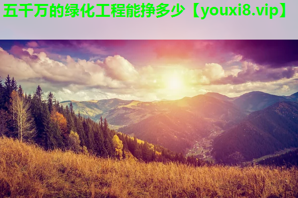 五千万的绿化工程能挣多少