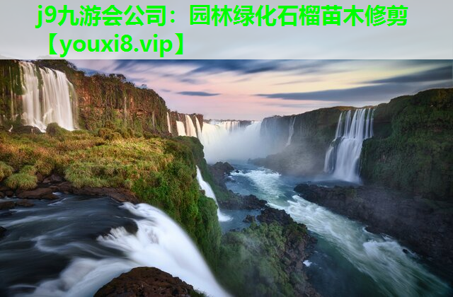 j9九游会公司：园林绿化石榴苗木修剪