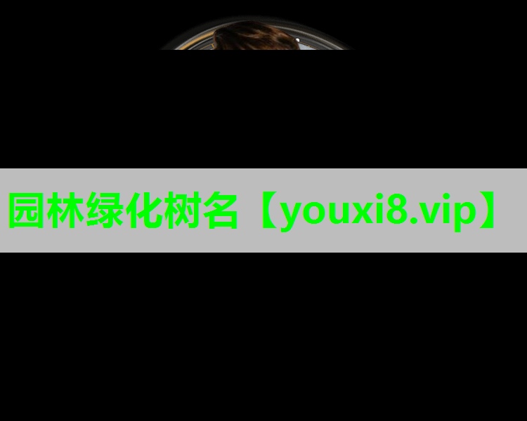 园林绿化树名