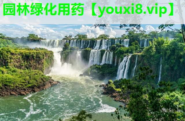 园林绿化用药