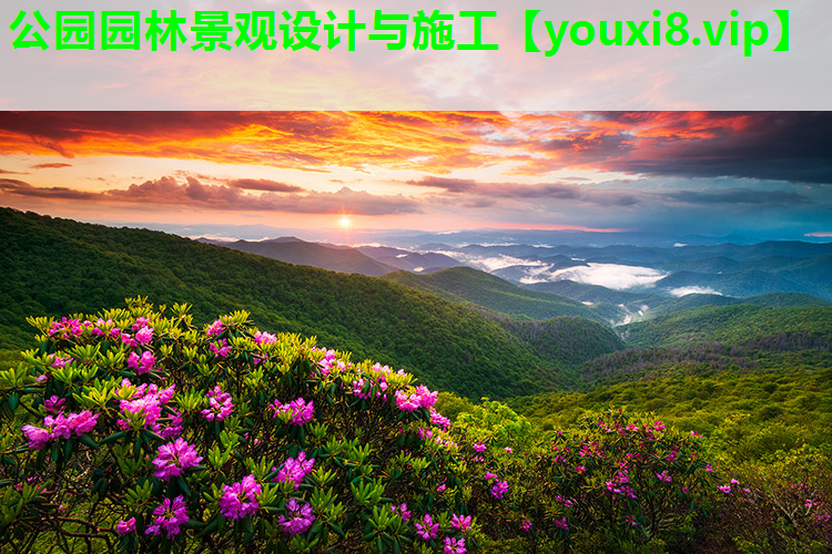 公园园林景观设计与施工