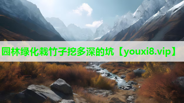 园林绿化栽竹子挖多深的坑
