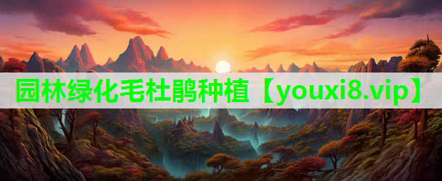 园林绿化毛杜鹃种植