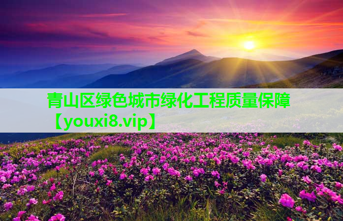 青山区绿色城市绿化工程质量保障