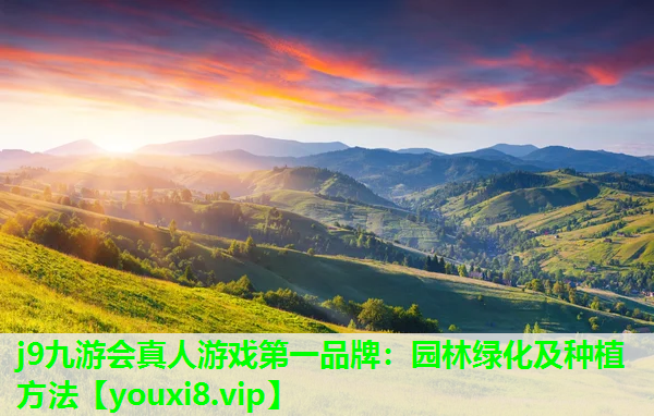 j9九游会真人游戏第一品牌：园林绿化及种植方法