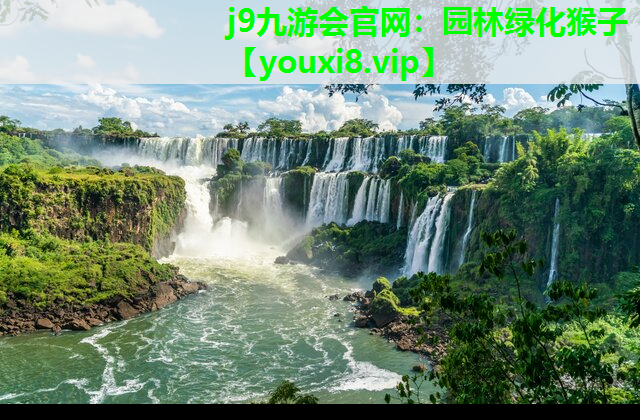 j9九游会官网：园林绿化猴子