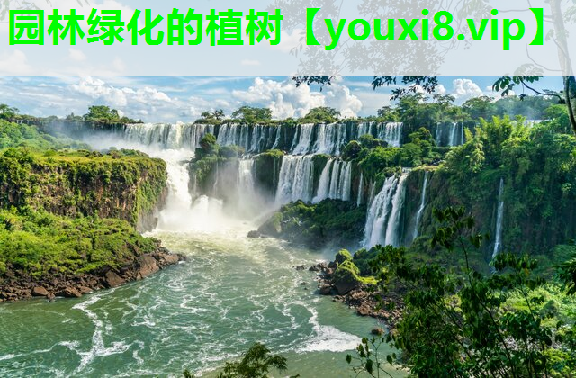 园林绿化的植树