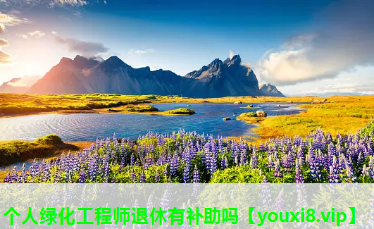 个人绿化工程师退休有补助吗