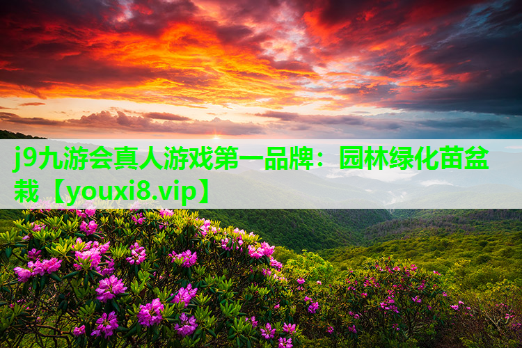 j9九游会真人游戏第一品牌：园林绿化苗盆栽