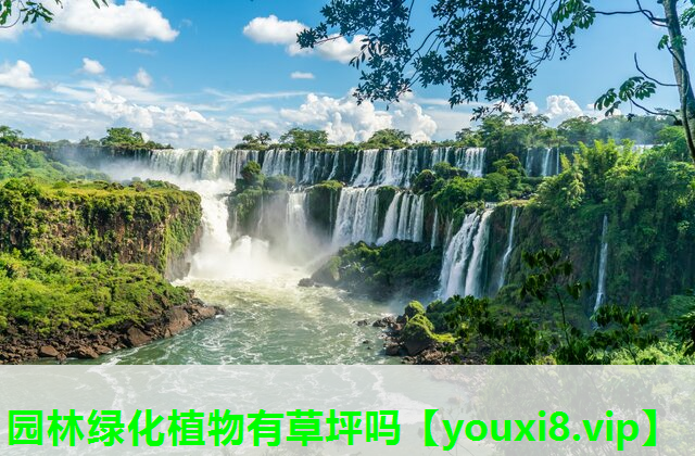 园林绿化植物有草坪吗