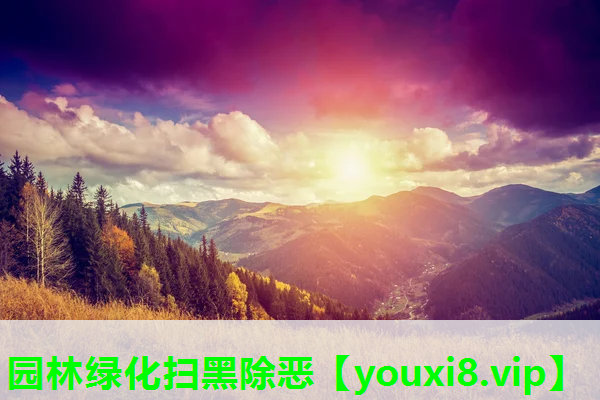 园林绿化扫黑除恶