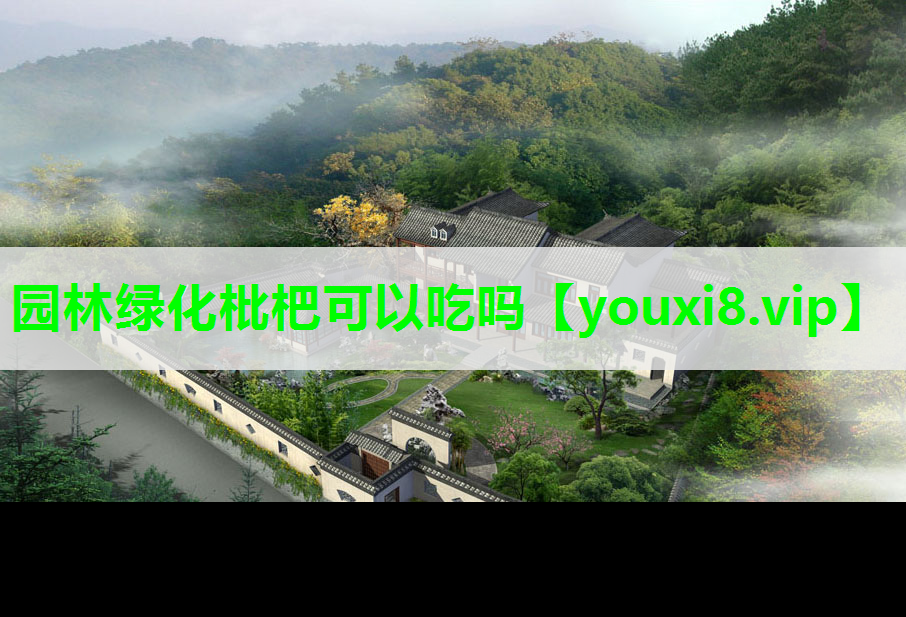 园林绿化枇杷可以吃吗