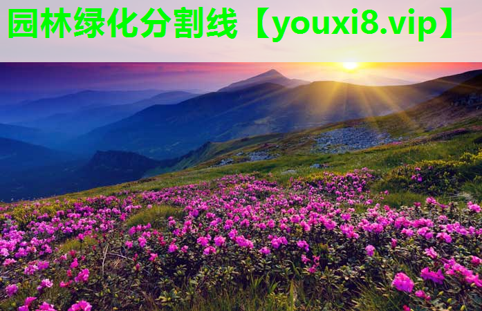 园林绿化分割线