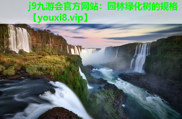 j9九游会官方网站：园林绿化树的规格