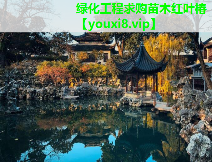 绿化工程求购苗木红叶椿